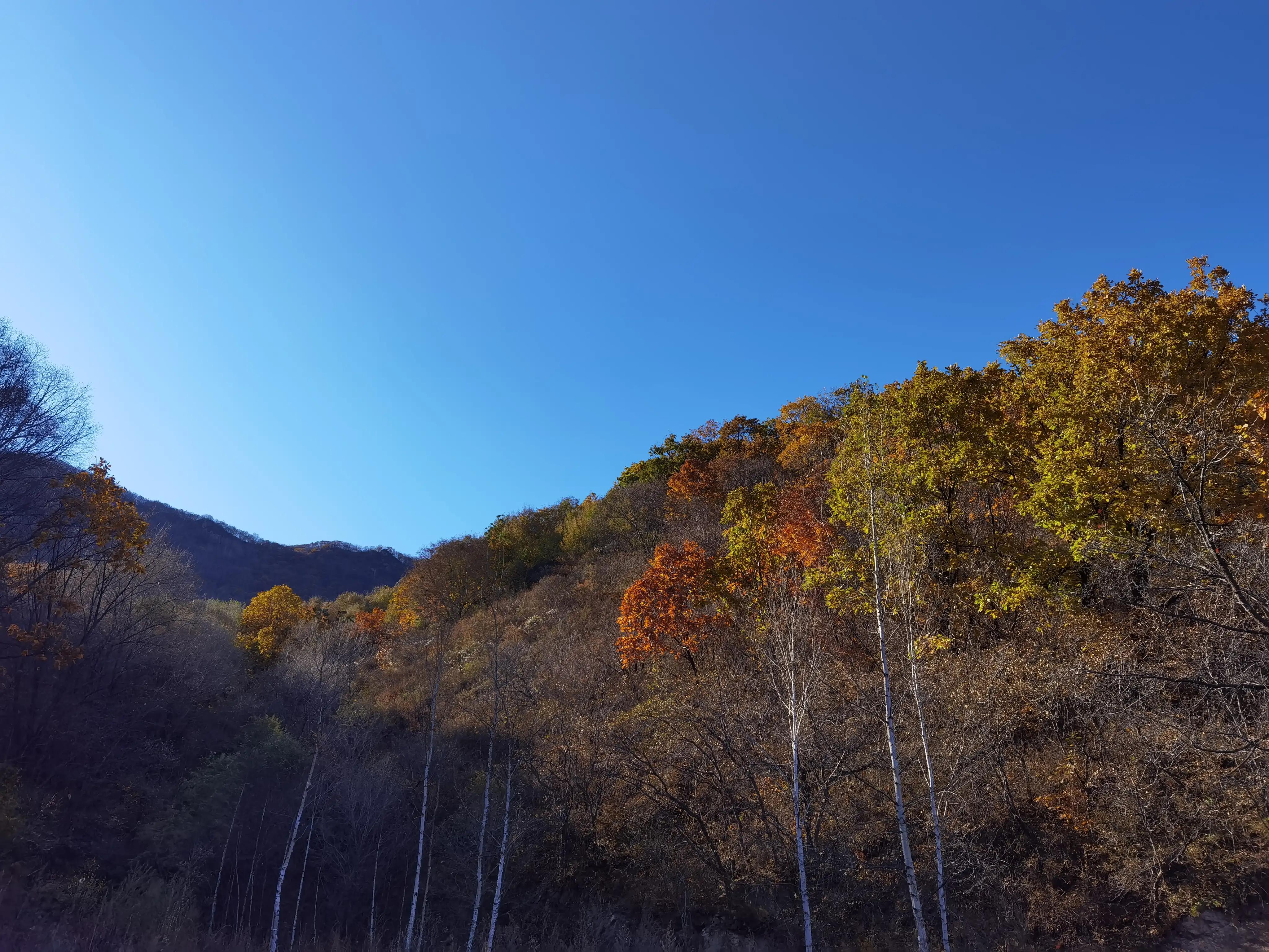 怀柔喇叭沟门原始森林2日自驾游,怀柔喇叭沟门原始森林骑行