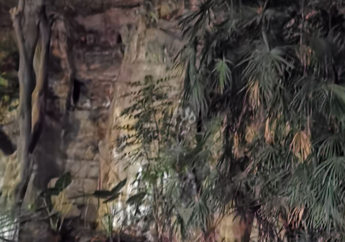 华为p30相机参数是多少,一张图告诉你华为p30拍照