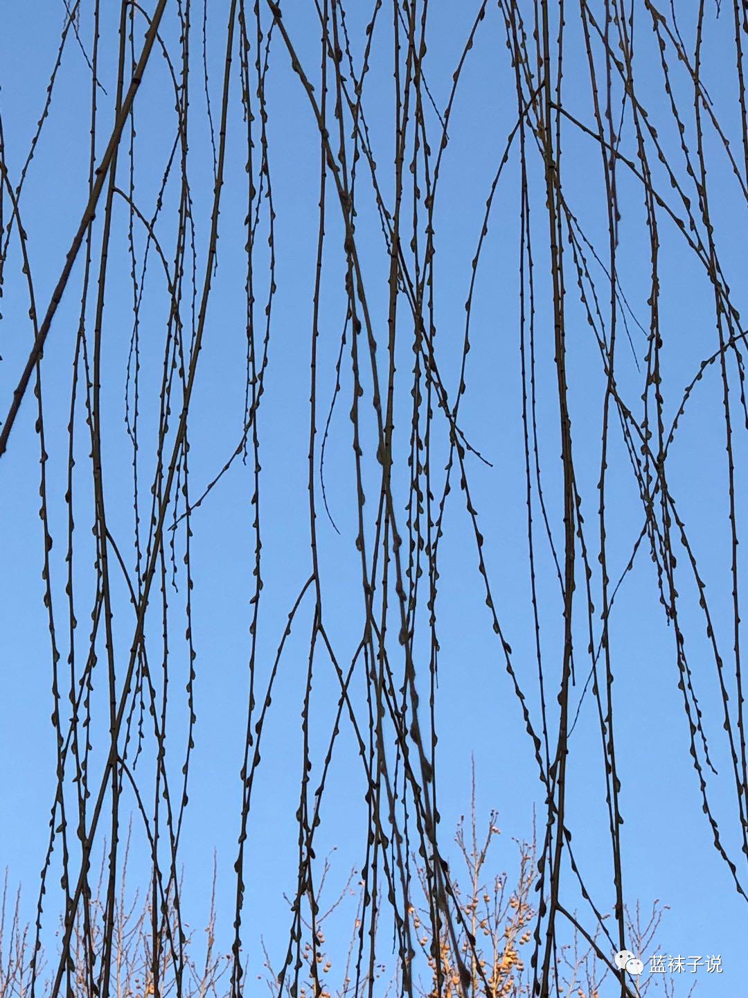 最近想得比较多胡思乱想,最近想事情想得多了