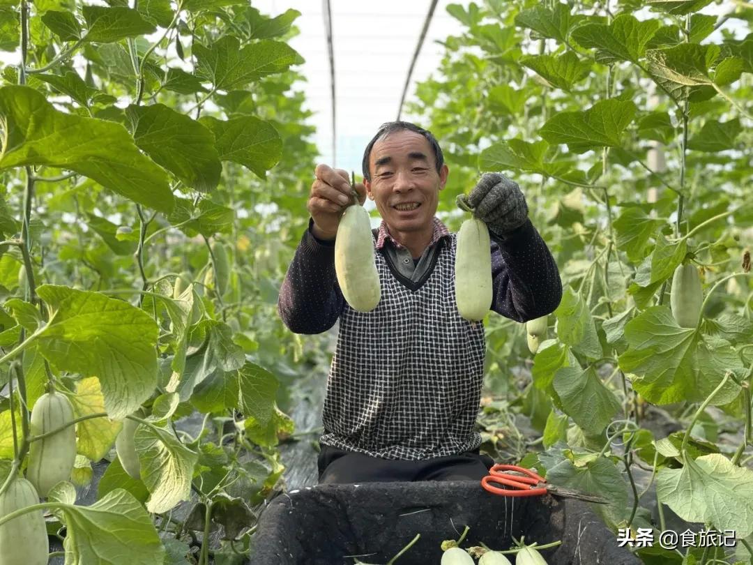 这瓜一肚子蜜汁,掰开就漏!闻着香、咬着脆、一口下去甜到醉