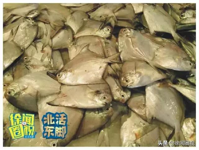 徐闻人的真实生活,徐闻县人风俗习惯