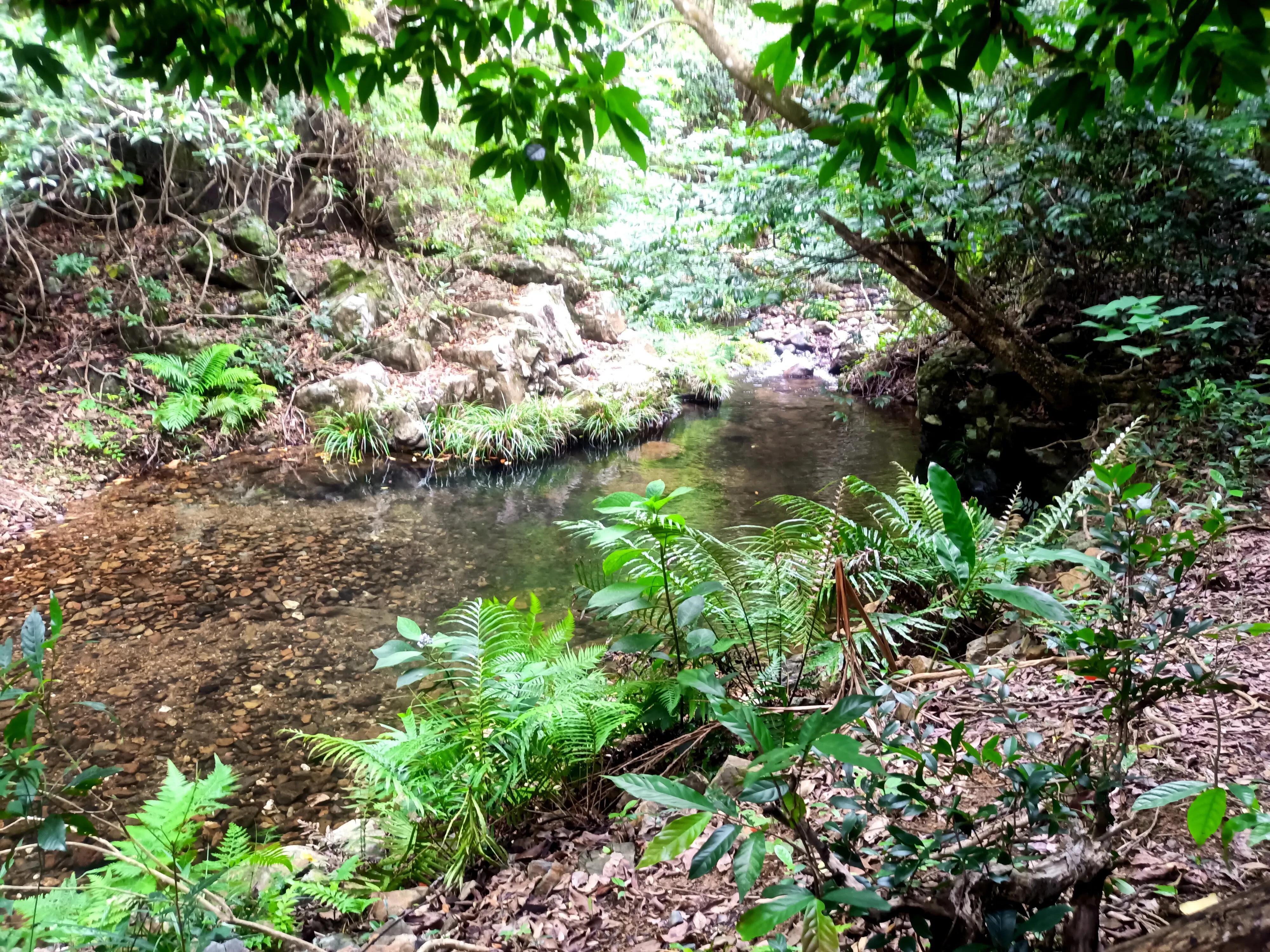 情人谷深圳,深圳情人谷绝情谷