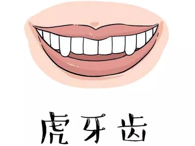 为什么会有长牙的情况,为什么有的人长牙快有的人长牙慢
