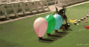 鎼炵瑧gif娈靛瓙濡瑰瓙浣犲お鐨簡,鎼炵瑧gif娈靛瓙濡瑰瓙鏈夌偣澶窐姘斾簡