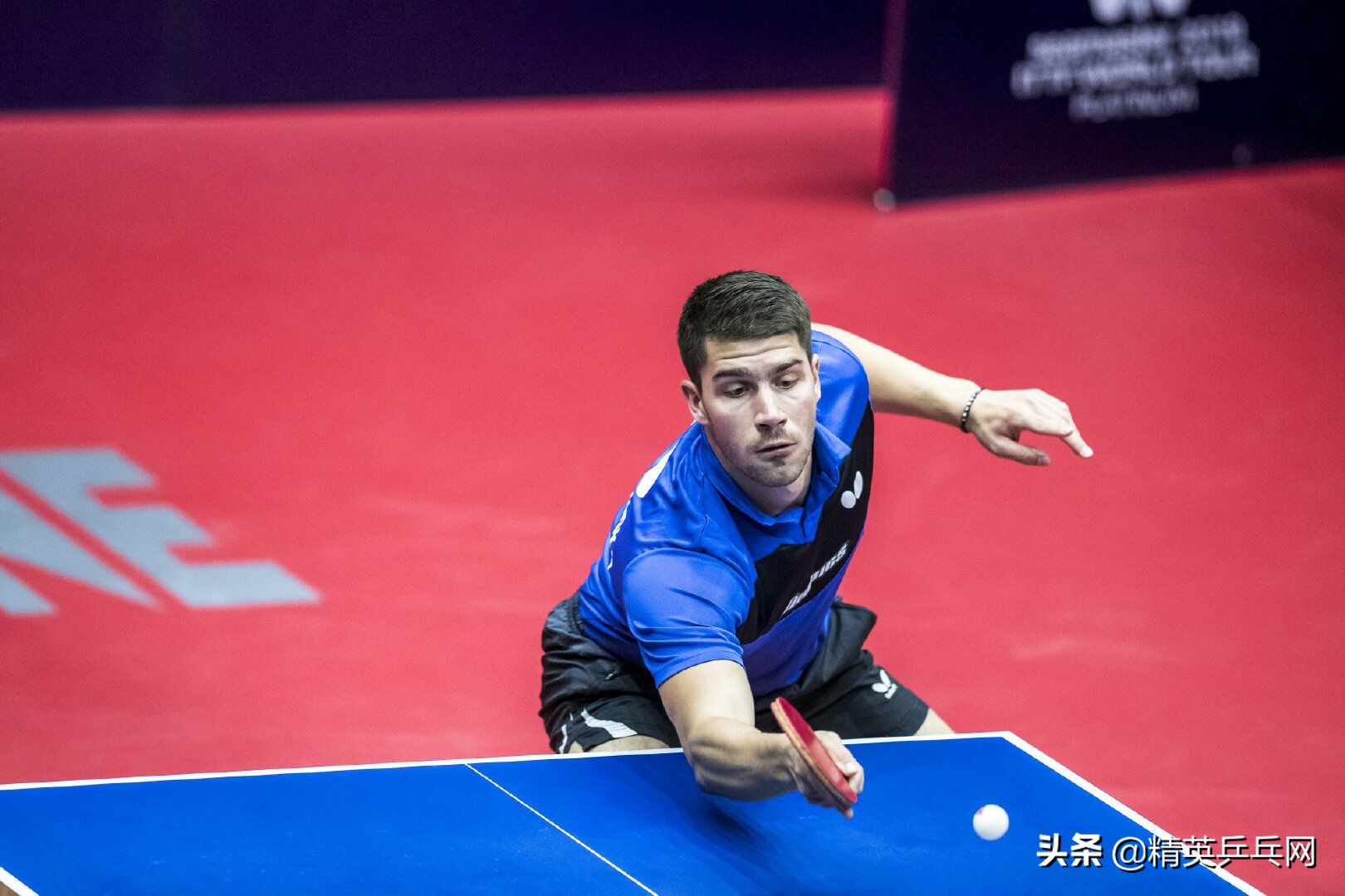 「许三金动图集锦」“人民艺术家”澳公赛绽放!可怜的弗朗西斯卡