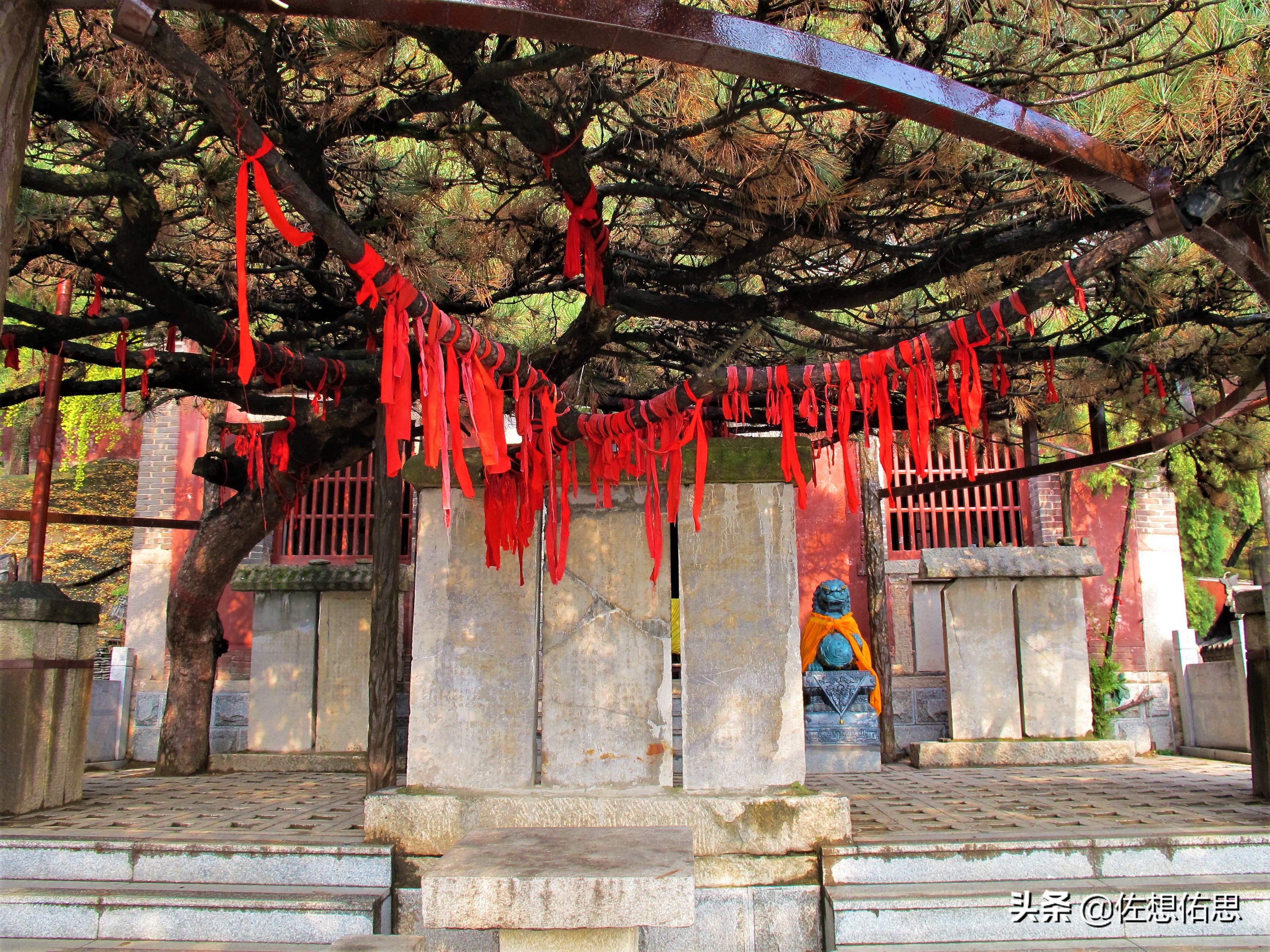 泰安扇子崖免门票吗,扇子崖门票多少钱