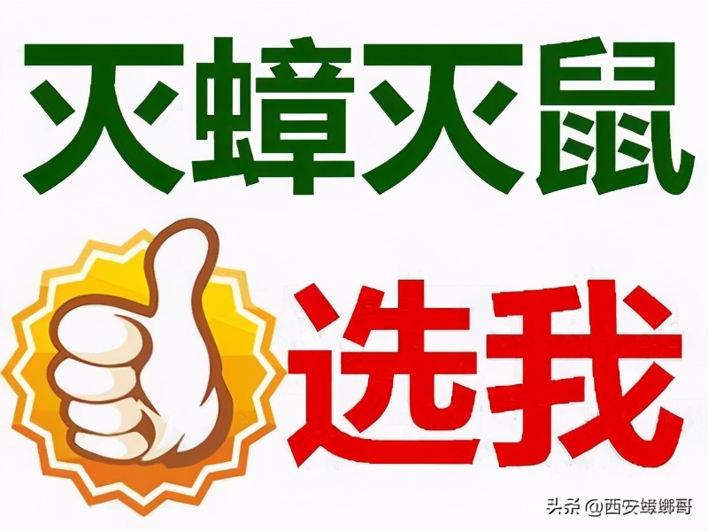 蟑螂被踩死会有病菌吗,蟑螂被踩死有什么后果