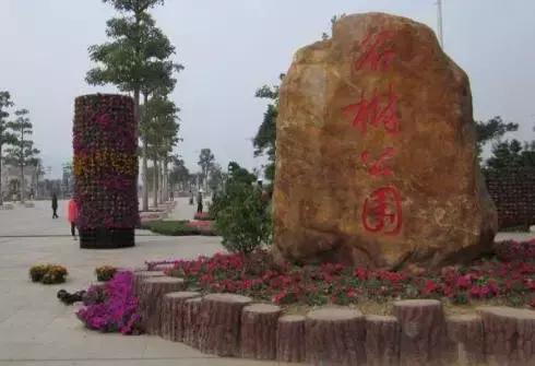 江阳旅游有哪些地方,江阳旅游景点大全