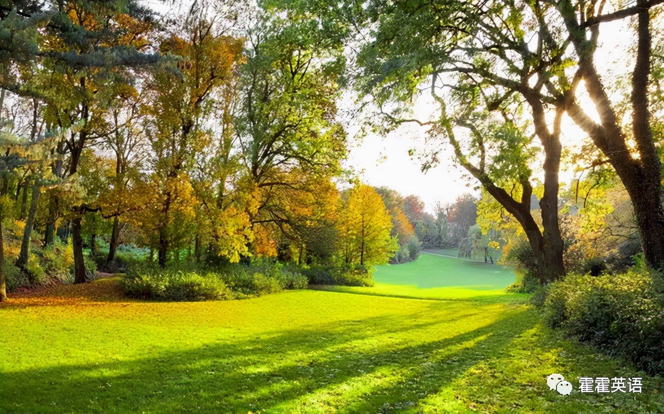 无灵主语句的用法,无灵主语句的教学效果