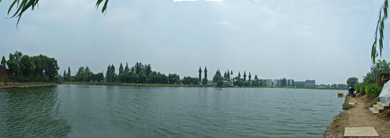 免费模式营销民宿,免费模式营销经典案例