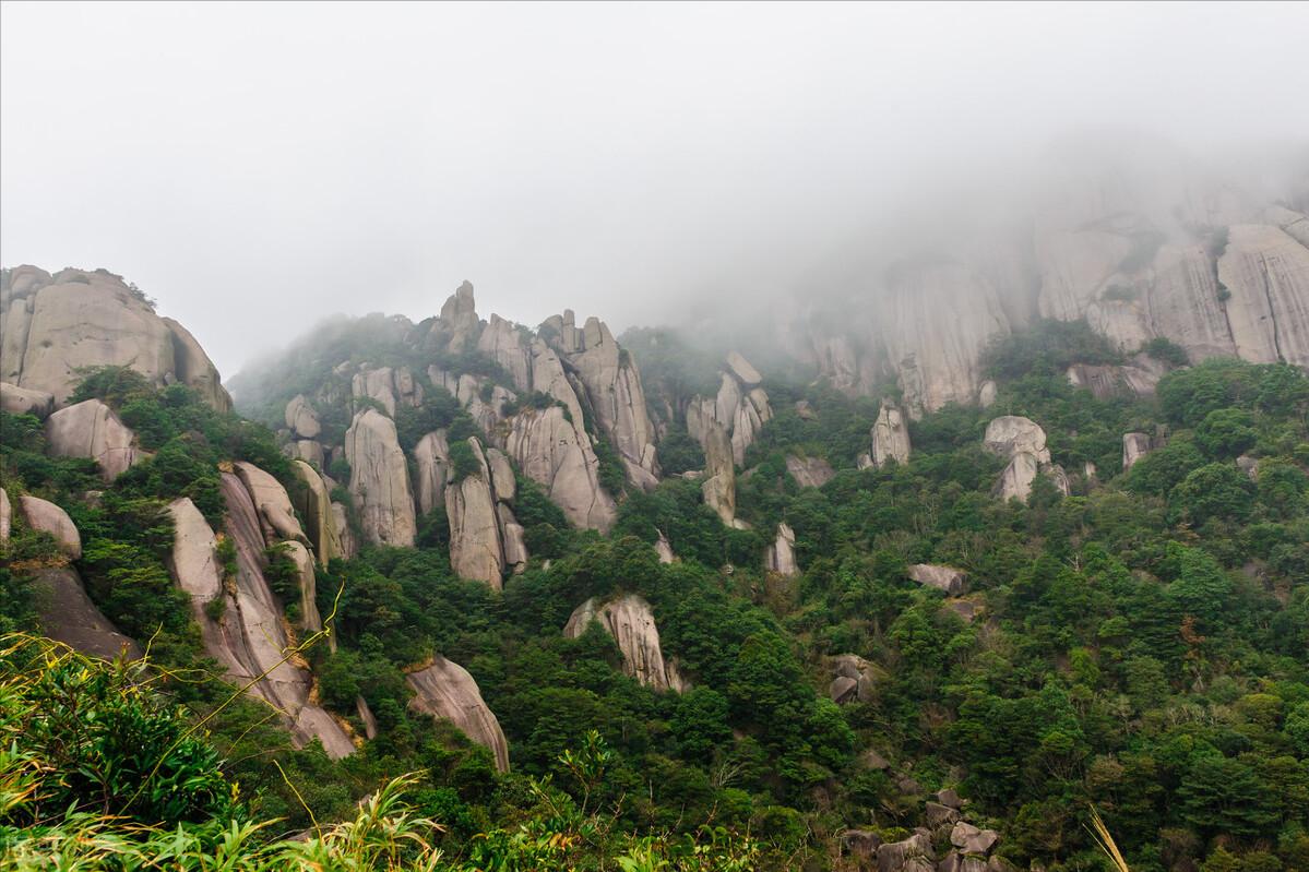 各省的地方名茶,所有省份名茶