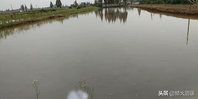 养殖水体重金属超标,养殖污水重金属超标处理方法