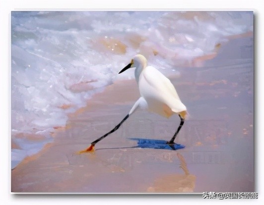 鑻卞浗鏁欐巿璇磄oodwork,鏁欐巿璇磄oodjob