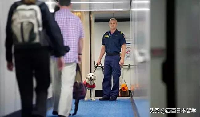 留学生带感冒药判几年,留学生带感冒药犯法吗