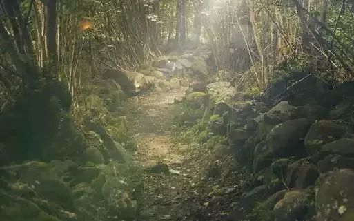 户外迷路了有哪些方法辨别方向,户外迷路怎么办