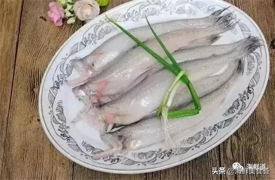 102种海鲜,营养丰富的海鲜有哪些品种