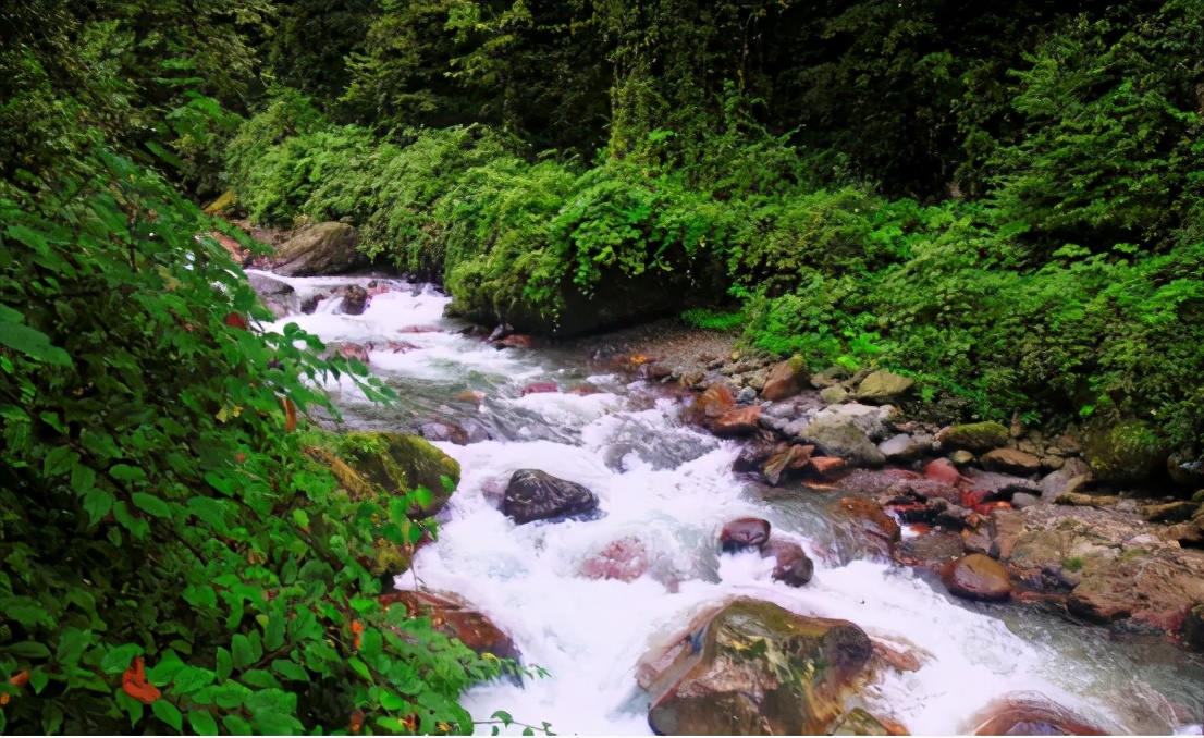 端午节景区迎来旅游小高峰,端午节青山旅游景区