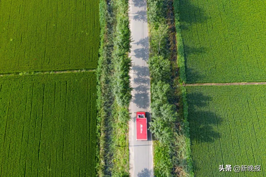 京东打通线上线下助力乡村振兴,京东助力乡村振兴和政府如何合作