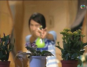 8090年代港剧最巅峰的时代,请回答1992港剧辉煌