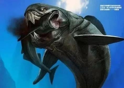 世界上最长的3米巨型蜈蚣,史前十大巨兽排行榜棘龙