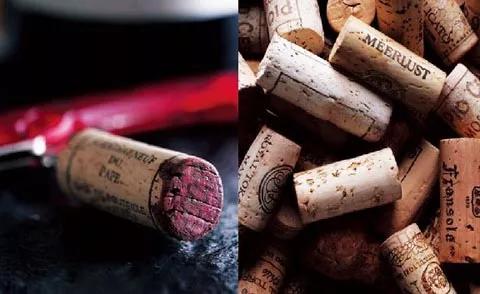 你知道吗冷知识,冷知识你知道吗解说