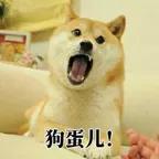 这绝对是我离大神最近的一次