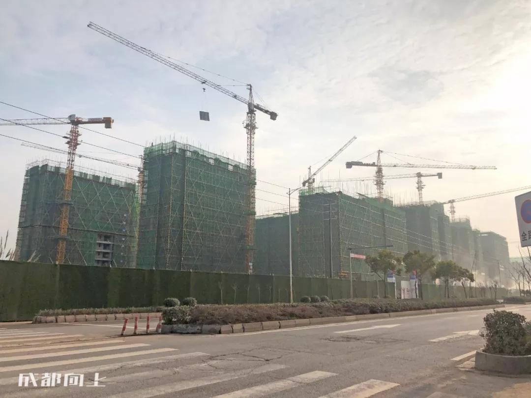 成都2024年火爆项目,巨变前夜智能网联汽车