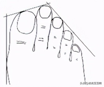 从脚趾决定你的颜值,你的脚与性格