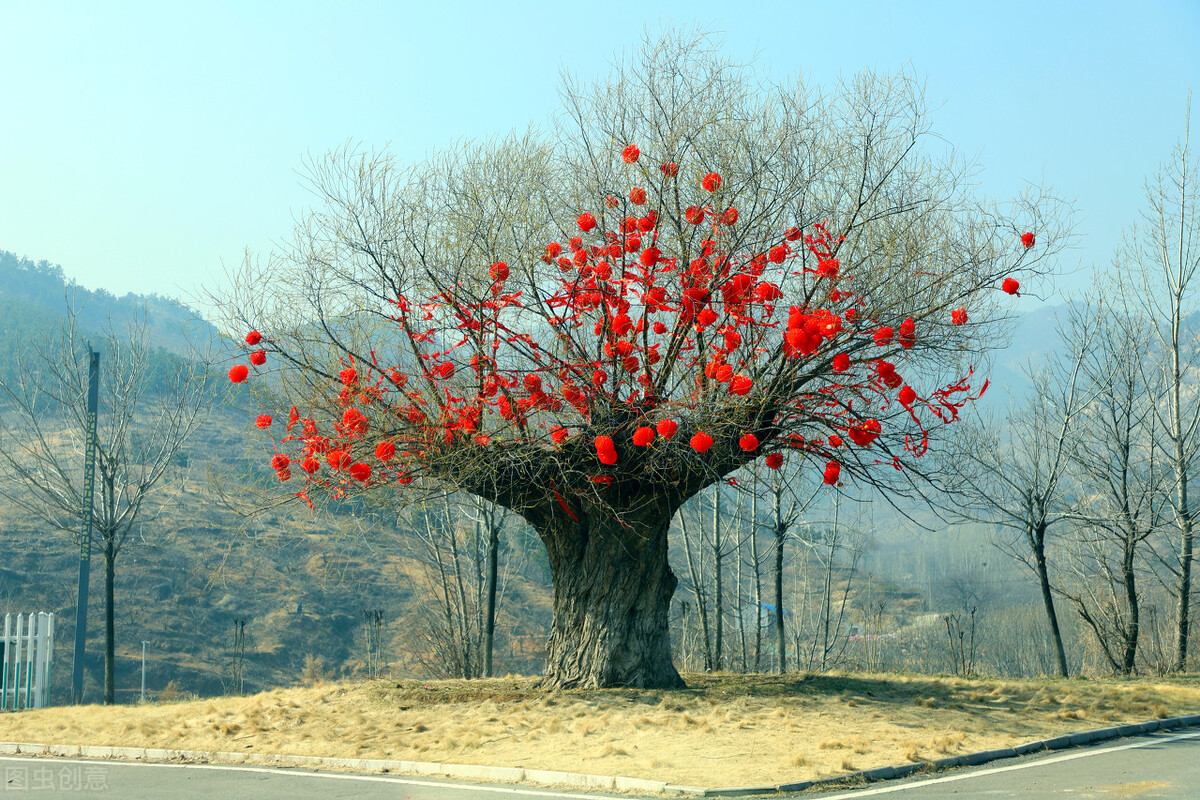 本性善良的人晚熟,善良的人老是晚熟