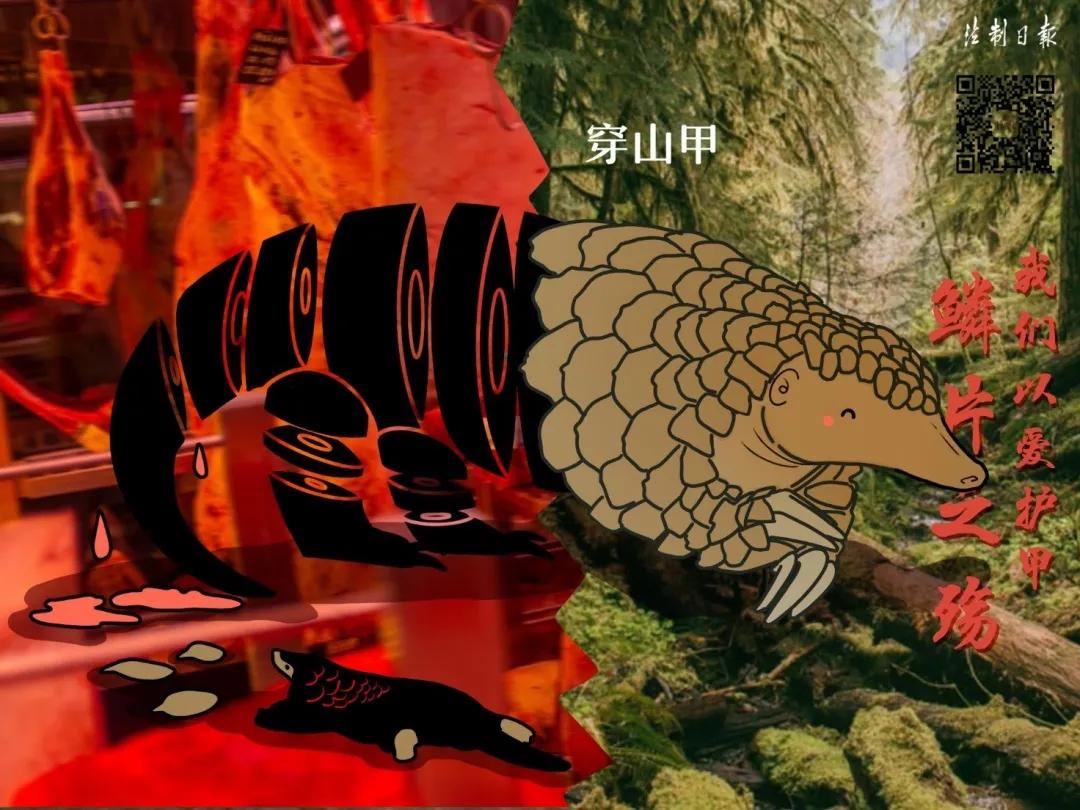 拒绝野味成为自觉行为,拒绝野味管不住嘴