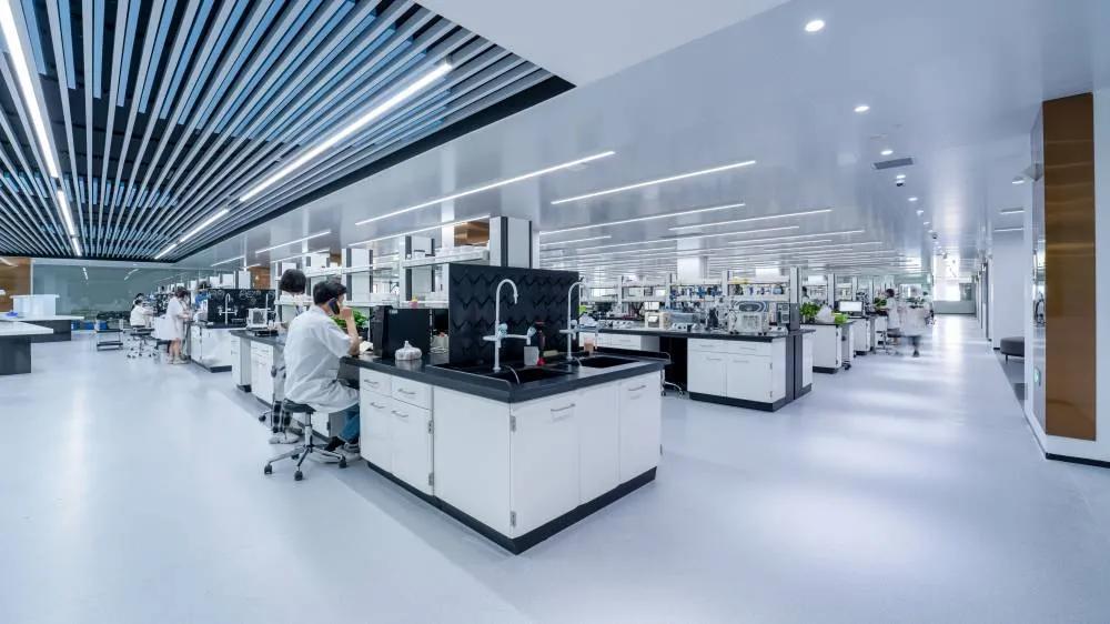 头条专访|芭薇市场总监杨红华：成为高端国货品牌的坚强后盾