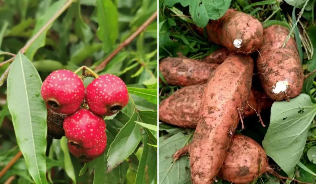 灵山秀水度深秋,灵山秀水堪称世外桃源