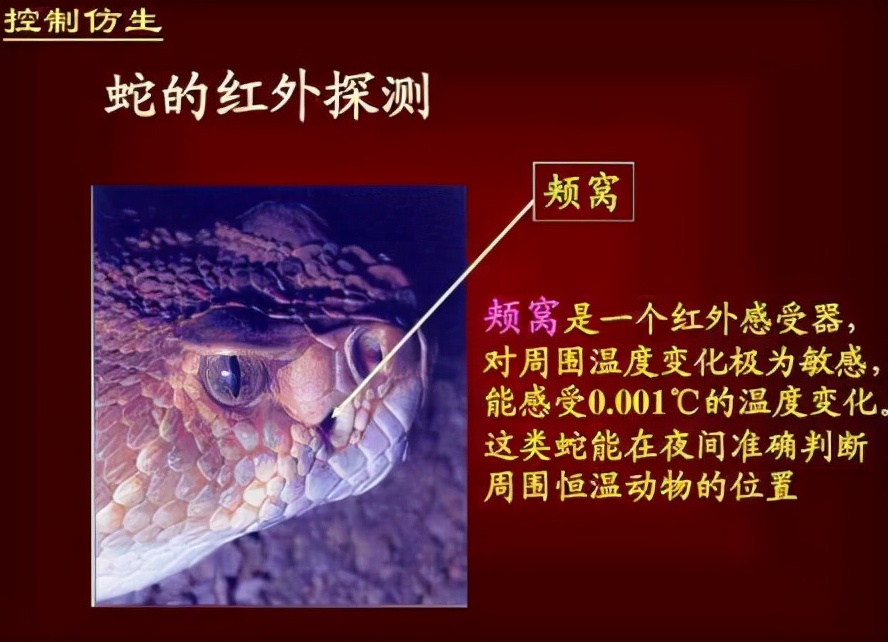 农村老人说不能杀蛇，难道说报纸上关于蛇报复人的报道，是真的？