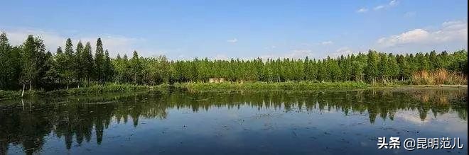 昆明国庆旅游攻略七天,昆明旅游的路线攻略大全