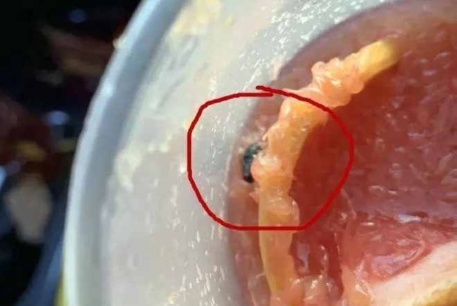 濂惰尪搴椾笉灏忓績鎶婃牱鍝佺粰椤惧,鎶婂ザ鑼舵牱鍝佺粰椤惧