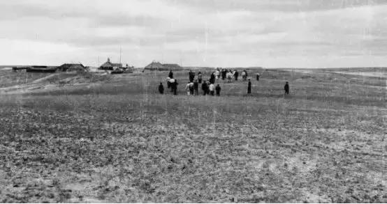 芳华60载|碧桂园与茂名共成长