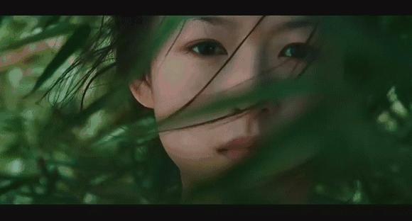 章子怡汪峰声明分析,章子怡庆祝结婚6周年