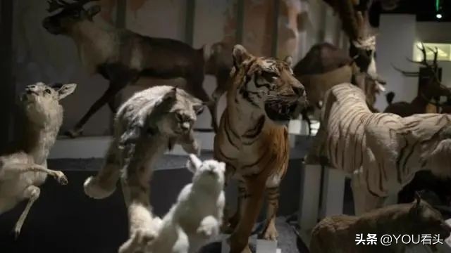 成都夜间观光攻略,成都景区夜游攻略图大全