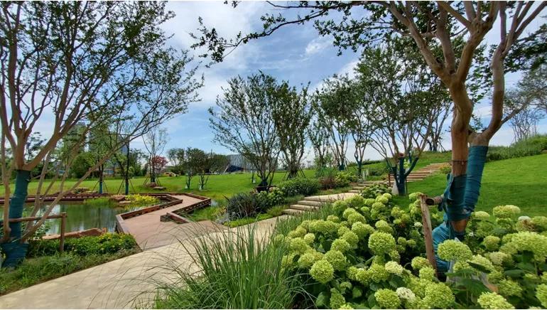 世界第一3d打印桥,中国最大3d打印桥视频