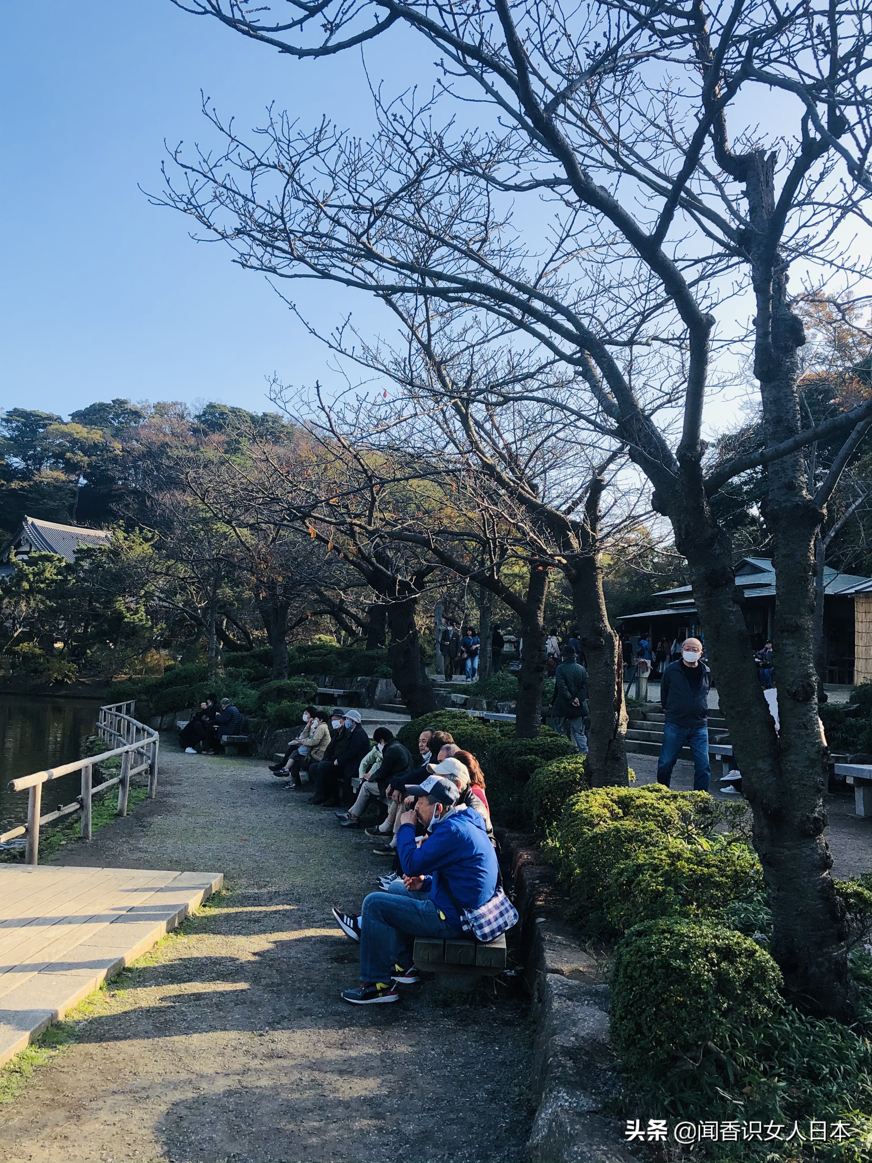 横滨三溪园,横滨三溪园介绍