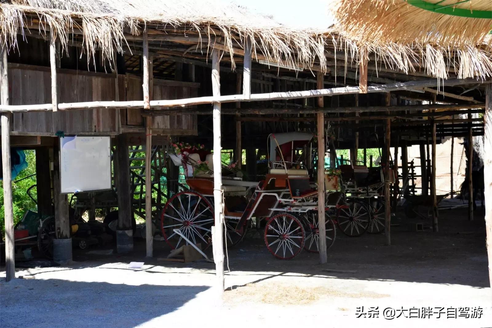 泰国风情之旅完整版小说,泰国风情十日游