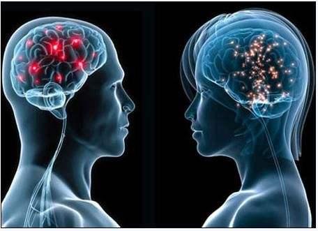 哲学提高人生境界与修养,哲学带来的认知提升