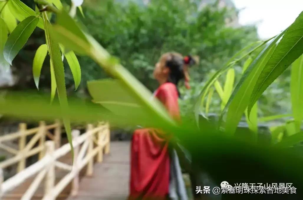 夏天承德好玩的地方,承德兴隆天子山风景区旅游攻略