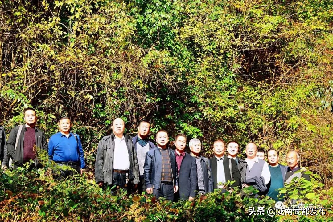 閲戠宄渤鍏洯,閲戠瑁曟渤鍥剧墖