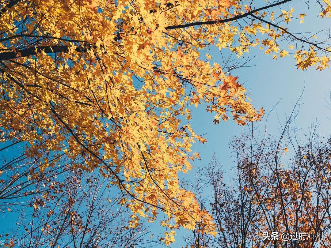 北京最大的森林公园大兴,北京最大环城公园