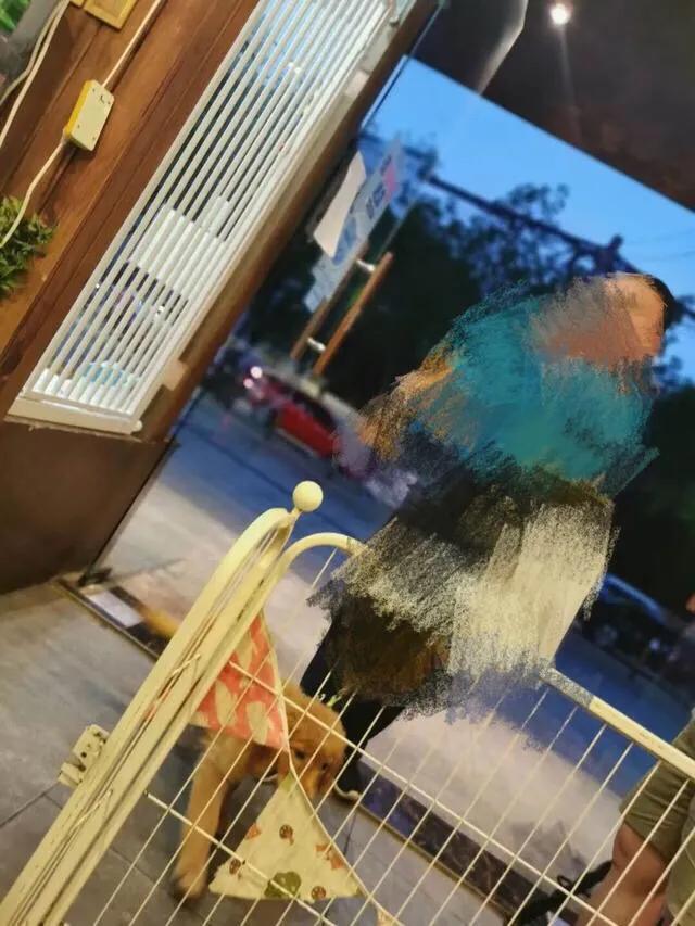 金毛被男子疯狂虐待，志愿者被威胁报复，有些人内心到底有多黑暗