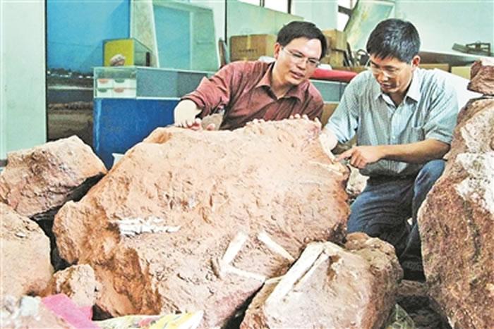 中国最著名的恐龙是什么恐龙,恐龙为名