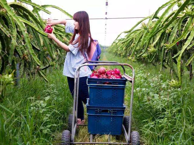 董哥用工风险,董哥做什么生意