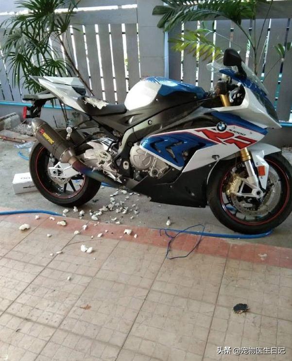 网友花十几万买了宝马摩托车，回家后发现坐垫被狗咬破，心态崩了