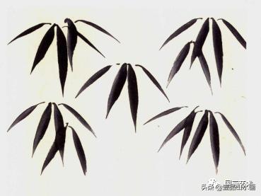 图文教程竹子画法,怎么画竹最简单最好看